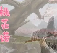 开云-3漇C濇r~J\?:,?簁{?懇粷c吓汎匪酖PI(mrpii的中文含义)